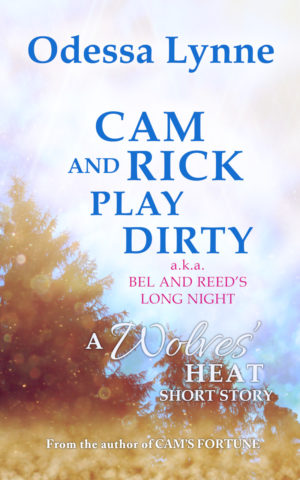 Book cover image for Cam and Rick Play Dirty (a.k.a. Bel and Reed's Long Night) with trees under a bright sky