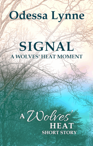 Moody and soft forest of trees ebook cover image for Signal: A Wolves' Heat Moment