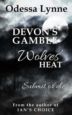 Devon's Gamble cover image