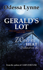 Book cover image for Gerald's Lot (Wolves' Heat, #7)
