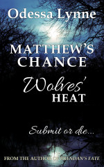 Book cover image for Matthew's Chance (Wolves' Heat, #4)