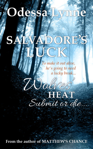 Salvadore's Luck (Wolves' Heat book 5)