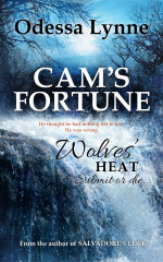 Book cover image for Cam's Fortune (Wolves' Heat, #6)