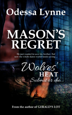 An alternate book cover for Mason's Regret